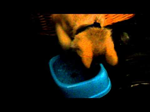 Ashira wants the jelly!!