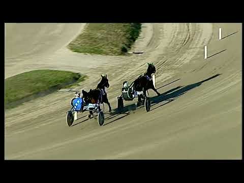 Napoli Trotto 25/01/2022 - prova di qualifica