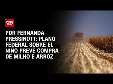 El Niño: plano federal prevê compra de milho e arroz | CNN NOVO DIA
