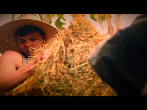 RECORDANDO MI PASADO - NORTEÑO PUSH FT. RENOVADO NORTEÑO