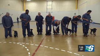On the UPside: Alger Correctional Facility inmates help dogs find forever homes