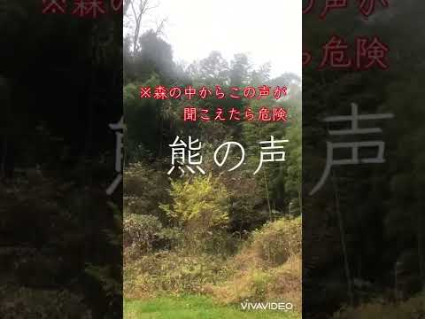 シロクマ州立公園 - 定義