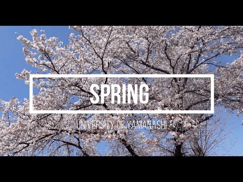 山梨大学の四季　春編