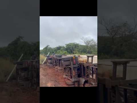 Carreta carregada com soja tomba na MS-480 e mobiliza equipes em Anaurilândia