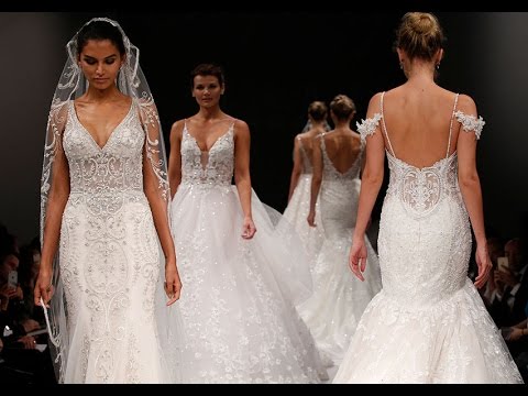 download lagu mp3 mp4 Amalia Carrara Wedding Dresses, download lagu Amalia Carrara Wedding Dresses gratis, unduh video klip Amalia Carrara Wedding Dresses