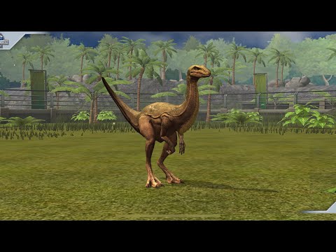 𝓖𝓮𝓽𝓽𝓲𝓷𝓰 𝓸𝓹𝓱𝓲𝓪𝓬𝓸𝓶𝓲𝓶𝓾𝓼