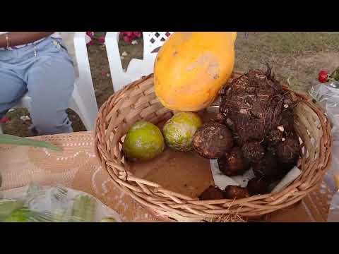 8° Encontro da Mulher Rural de Jauru Mato Grosso. 