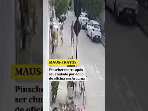 Cachorro chutado e morto por dono de oficina no ES
