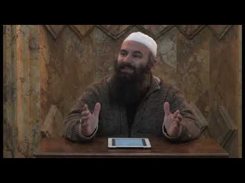 Një kollazh i këshillave nga Ibn Tejmije - Hoxhë Bekir Halimi