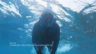 2024 November Dubai and Maldives (Part 2)