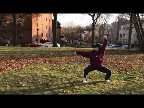 武术基本套路 五步拳 Wushu Basics: Five Stance Form