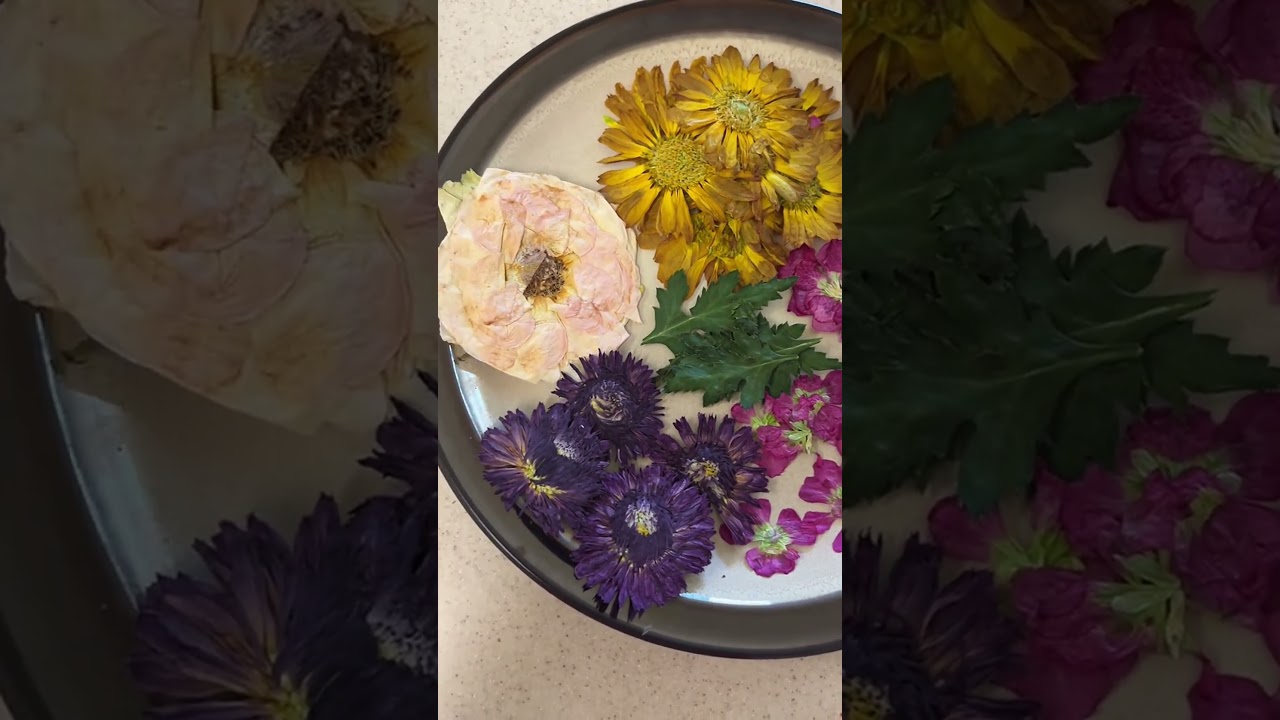 Eco-Friendly DIY Floral Pumpkin Decor with Biodegradable Glue