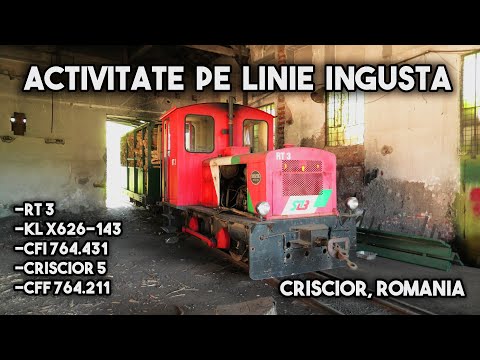 [4K] Activitate feroviară pe linie cu ecartament îngust la CFI Crișcior [2020]