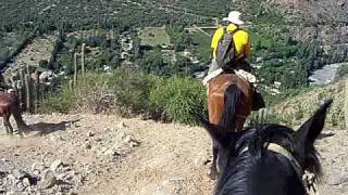 preview picture of video 'Horseback Riding in the Chilean Andes'