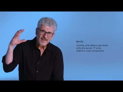 The Psychosis Continuum = Diminished Ipseity = 2 Dimensional Self Mechanical - Dr Michael Garrett