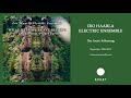 Iro Haarla Electric Ensemble: The Arctic Is Burning (Official Audio)