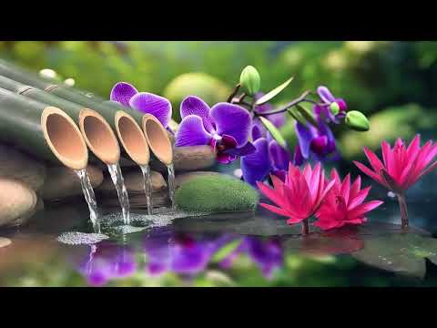 Relaxing Piano Music Bamboo Water Fountain, Sleep Music, Relaxing Music, Meditation Music