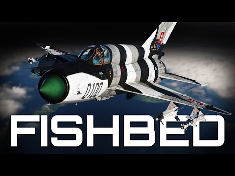 MiG-21 Fishbed | The Destroyer of the F-4 Phantom