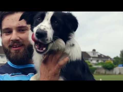 Charlene video