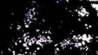 THE BEAST •  NO FUN 2006 •  LIVE