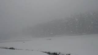 preview picture of video 'Khajjiar is beautiful place.....'