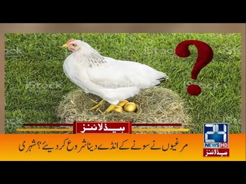 2am News Headlines | 5 Dec 2020 | 24 News HD