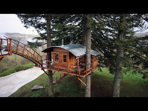 download lagu mp3 mp4 Free Treehouse Videos, download lagu Free Treehouse Videos gratis, unduh video klip Free Treehouse Videos
