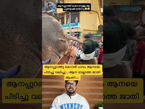 ആനപ്പുറത്തു കേറാൻ ആനയെ പിടിച്ചു വലിച്ചു😬ആന ബല്ലാത്ത ജാതി ആക്കി😝#funnyfails #reactionvideo #funny