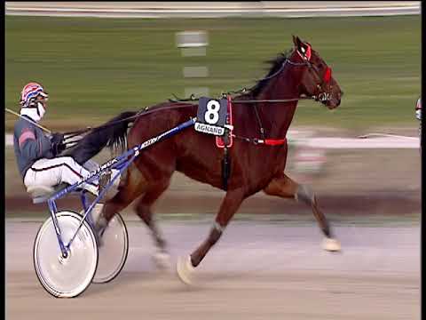 Trotto 25/01/2019 - 5ª corsa