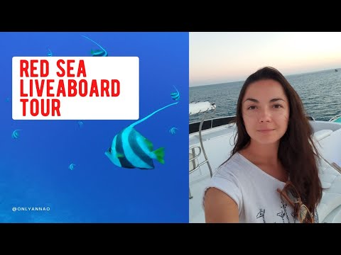 Inside a Liveaboard Boat in the Red Sea
