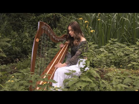 The Winner Takes It All - Cover Version by Niamh Noade