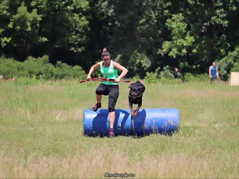 A kutyás futás: Irondog Man V. Mártély 2019.06.08.