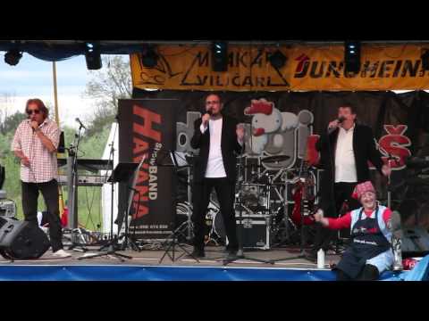 Daj još jednu prijatelj natoči - Boris Babarović Barba & To je to ( Dragi naš Kaj 2013 )