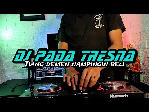 DJ Pade Tresna Raka Sidan Ft Ocha Putri Terbaru || Rean Remix