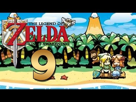 the legend of zelda link's awakening gameboy color