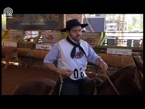 Classificatória Sapucaia (RJ) – 6° lugar fêmeas – Chimarrita dos Castanheiros (Prova: Mangueira II)