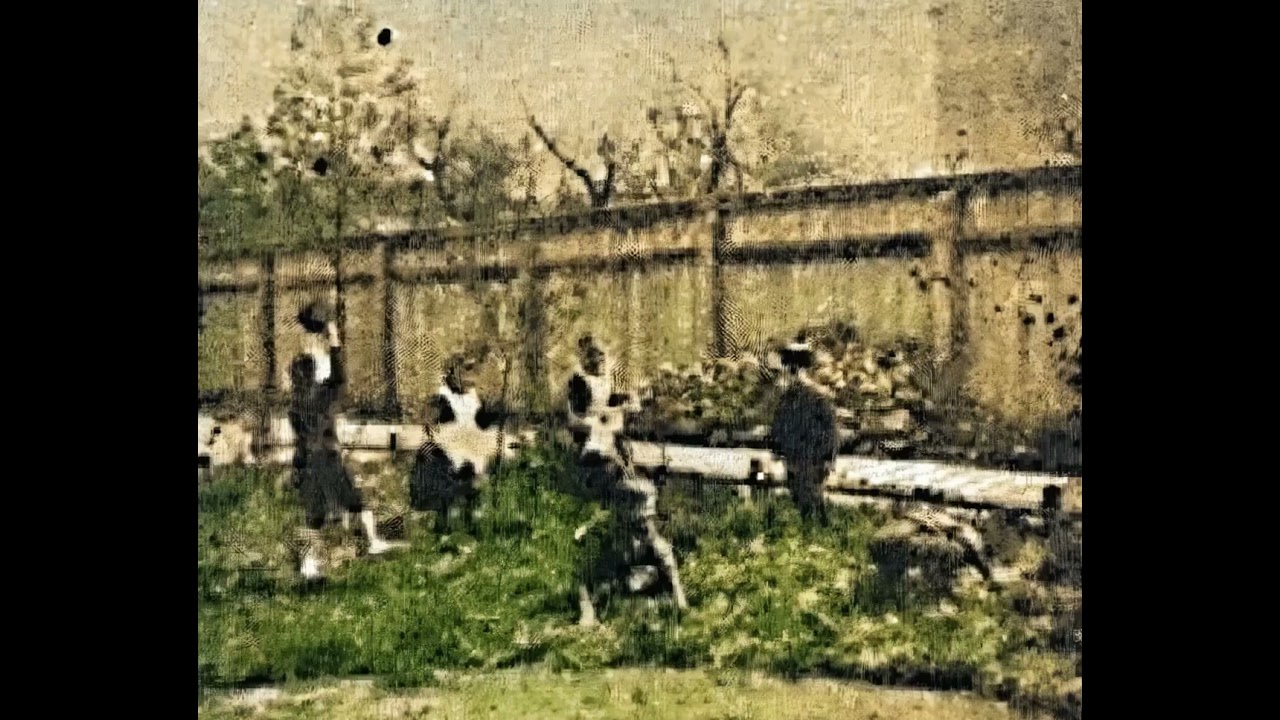 ZAGINIONY FILM KAZIMIERZA PRÓSZYŃSKIEGO – "DZIECI BAWIĄCE SIĘ W OGRODZIE" (1894)