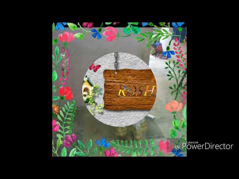 ROSHNI birthday gift