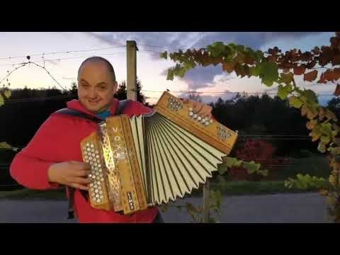 Modrijani - Med brajdami (Modrijani DOMA)
