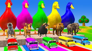 Download lagu Long Slide Game With Cow Elephant Gorilla Hippopotamus Tiger 3d Animal Game Funny 3d Animals mp3 Download lagu Long Slide Game With Cow Elephant Gorilla Hippopotamus Tiger 3d Animal Game Funny 3d Animals mp3