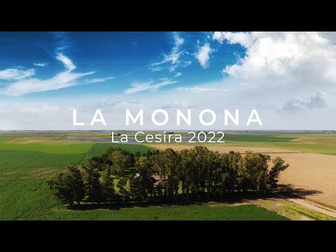 LA MONONA | DJI Mavic Mini