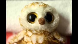 Albatrosh - Duvet Day (stop motion music video)