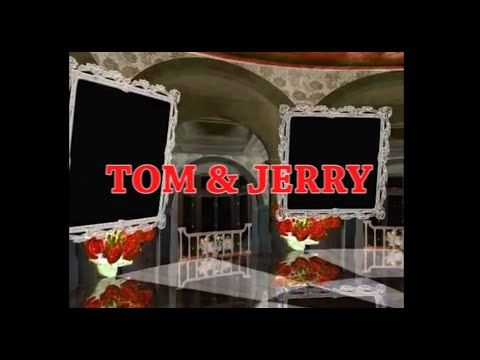 schafter - tom & jerry