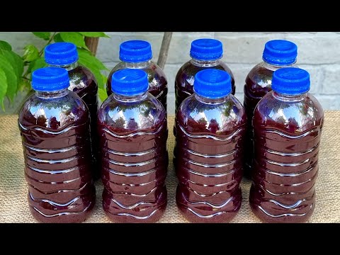 YouTube video about: Where to buy mulberry juice?