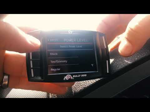 YouTube video about: How to hack a bully dog programmer?