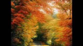 Let My Love Be Your Pillow