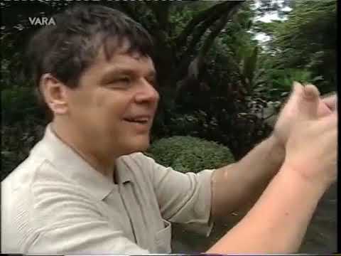 170 2001 De wereld van Boudewijn Buch   Easybeats Friday on my mind