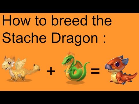 Breeding the Stache Dragon | Dragon Mania Legends #15
