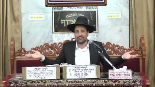 הרב מאיר אליהו   פרשת בא (בית הכנסת מוסאיוף) - התמונה מוצגת ישירות מתוך אתר האינטרנט יוטיוב. זכויות היוצרים בתמונה שייכות ליוצרה. קישור קרדיט למקור התוכן נמצא בתוך דף הסרטון