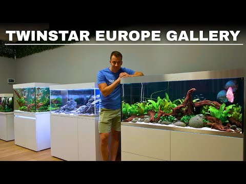 Film Galeria w Portugalii